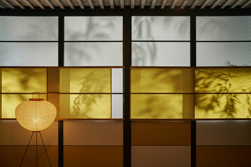 A yellow paper lantern sits in front of a partition wall with frosted glass and yellow panels, casting soft shadows of plants.