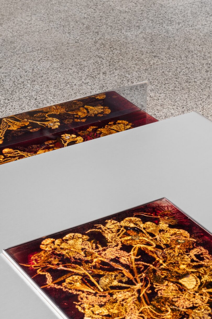 A framed artwork featuring intricate golden floral patterns on a reddish background rests on a light gray surface, with a similar piece partially visible behind it.