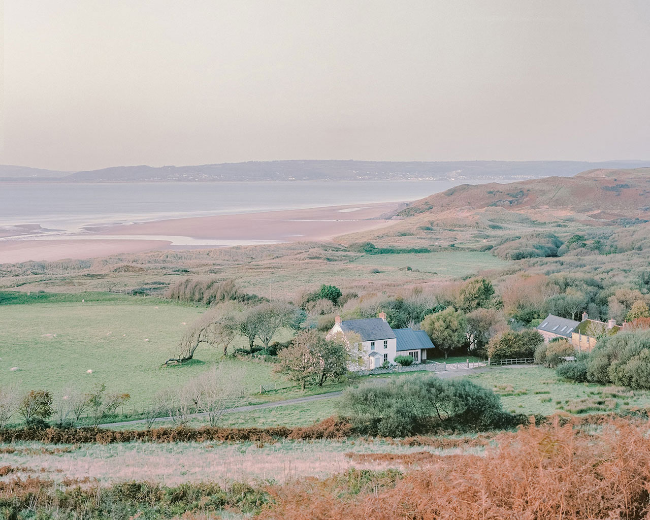 Delfyd Farm Keeps Soul, Substance, and Sheep