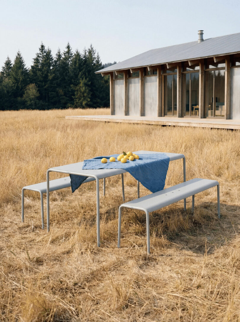 A metal table with a blue cloth, scattered lemons, and two benches sits on dry grass outside a modern house with large windows—perfect for relaxing or watching children tiptoe by.
