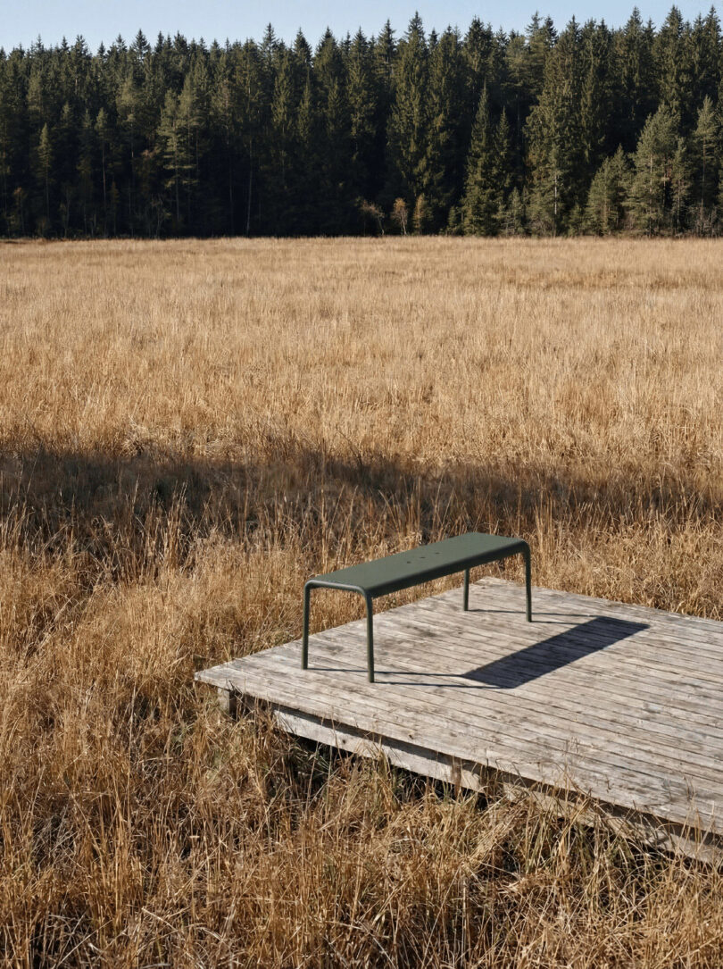 A green metal bench sits on a wooden platform in a field of dry grass, inviting you to tiptoe closer and enjoy the view of the dense evergreen forest in the background.