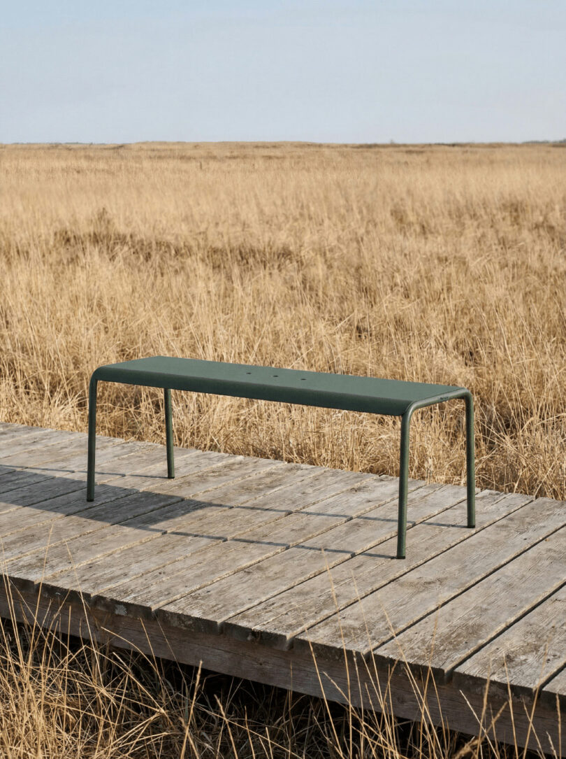 A green metal bench sits on a wooden boardwalk surrounded by dry, tall grass, as if waiting for someone to tiptoe through the open field beneath the clear sky.