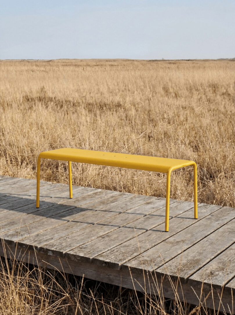 A yellow metal bench sits on a wooden boardwalk surrounded by dry grass, inviting you to tiptoe across the open field under a clear sky.